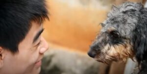 รางวัลรองชนะเลิศอันดับที่ 1 ปี2559 – ผลงานเรื่อง ทองดี